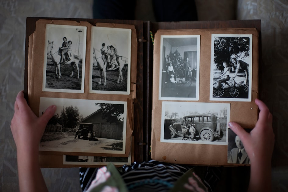 The Role of DNA in Genealogy